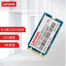 联想（Lenovo) 256GB SSD固态硬盘 M.2接口(SATA总线) SL700固态宝系列 2242板型